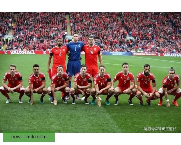 世界杯官方合作伙伴重磅推出全新赛事体验与互动精彩内容